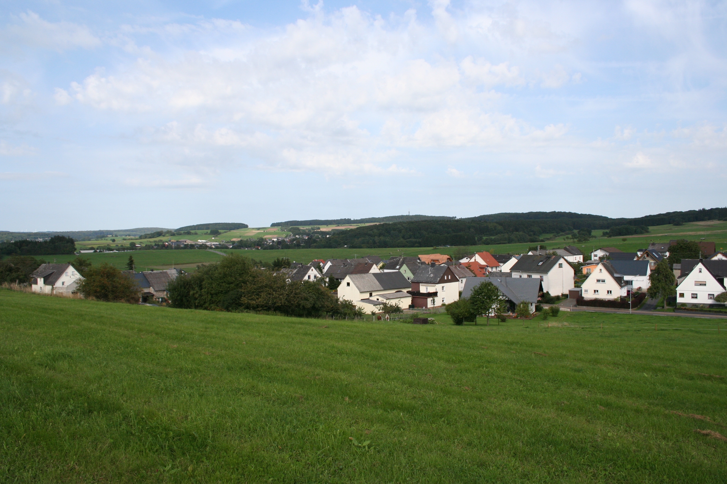IMG_7029.JPG