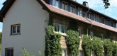 mausmühle.JPG