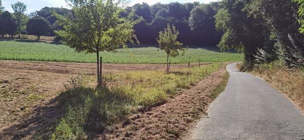Feldweg
