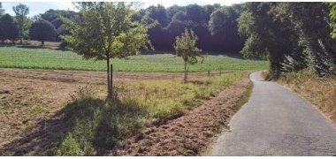 Feldweg