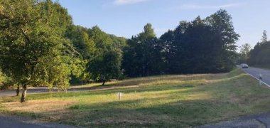 Blühflächenaktion der VG Selters