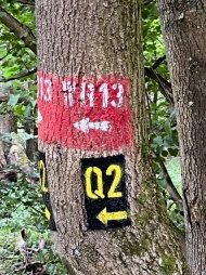 Markierung Wanderweg Qu2